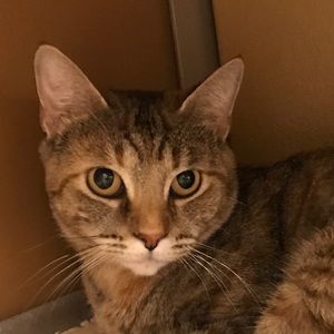 Meet your Posher, Yumna